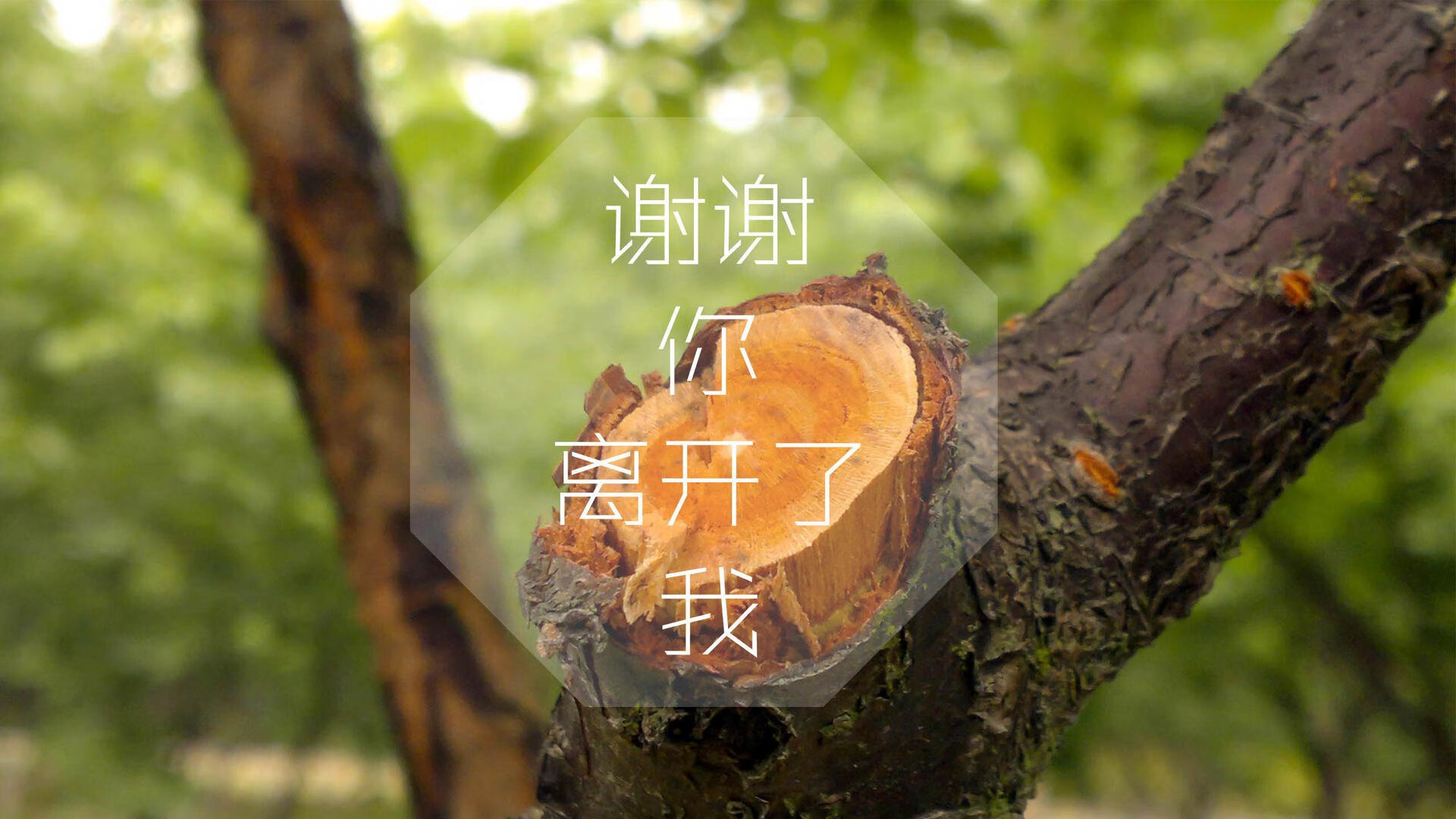 世界青少年马拉松劲爆开跑，燃烧希望，追逐梦想，2021青少年马拉松