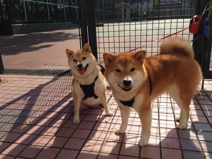 乐鱼体育平台app下载-西甲裁判沟通语言对球队犯规倾向引导的间接影响研究，西甲裁判服装