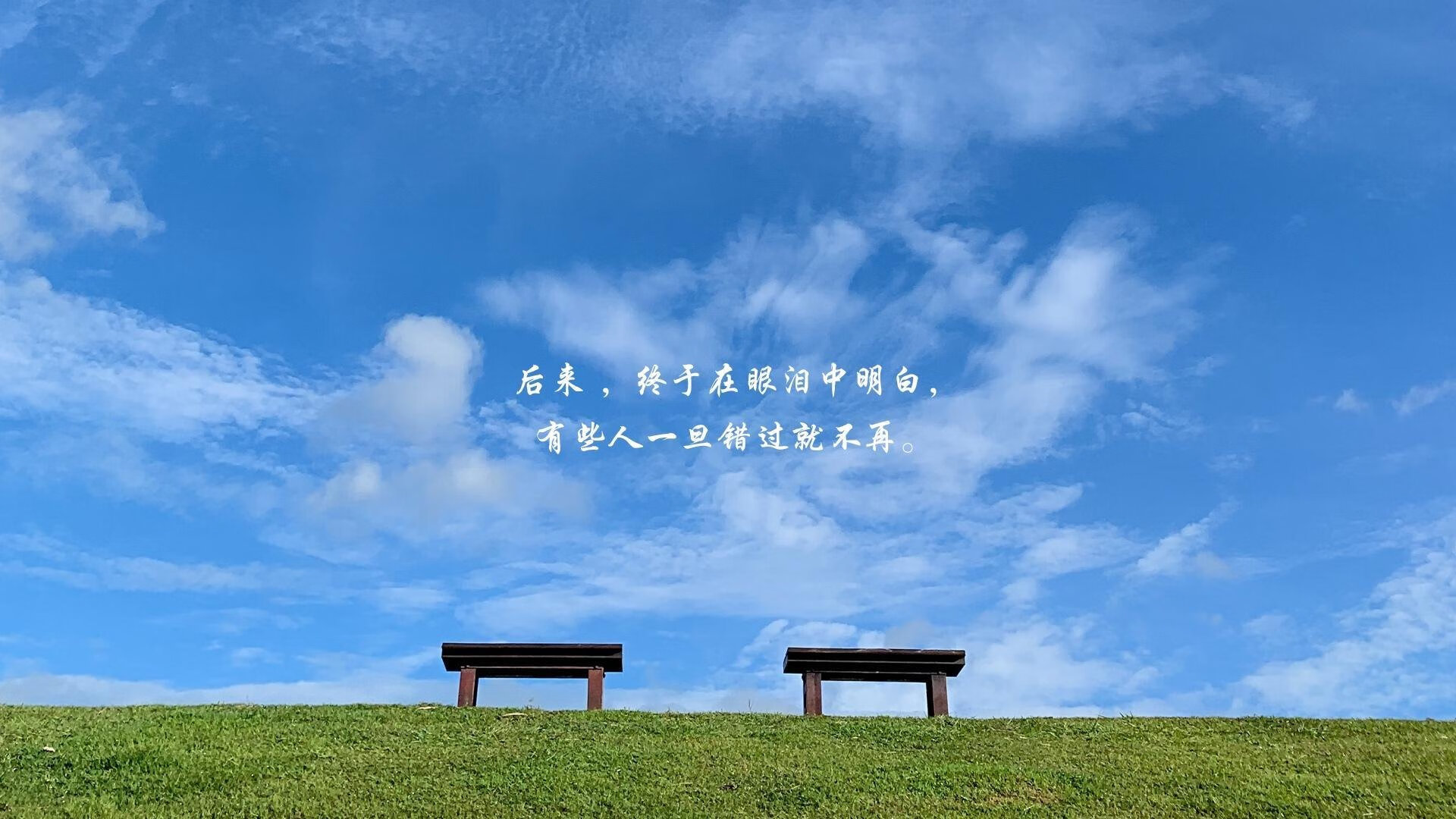 2024年国际乒联混合团体世界杯:瑞典团队的全新战术,瑞典世界乒乓球赛