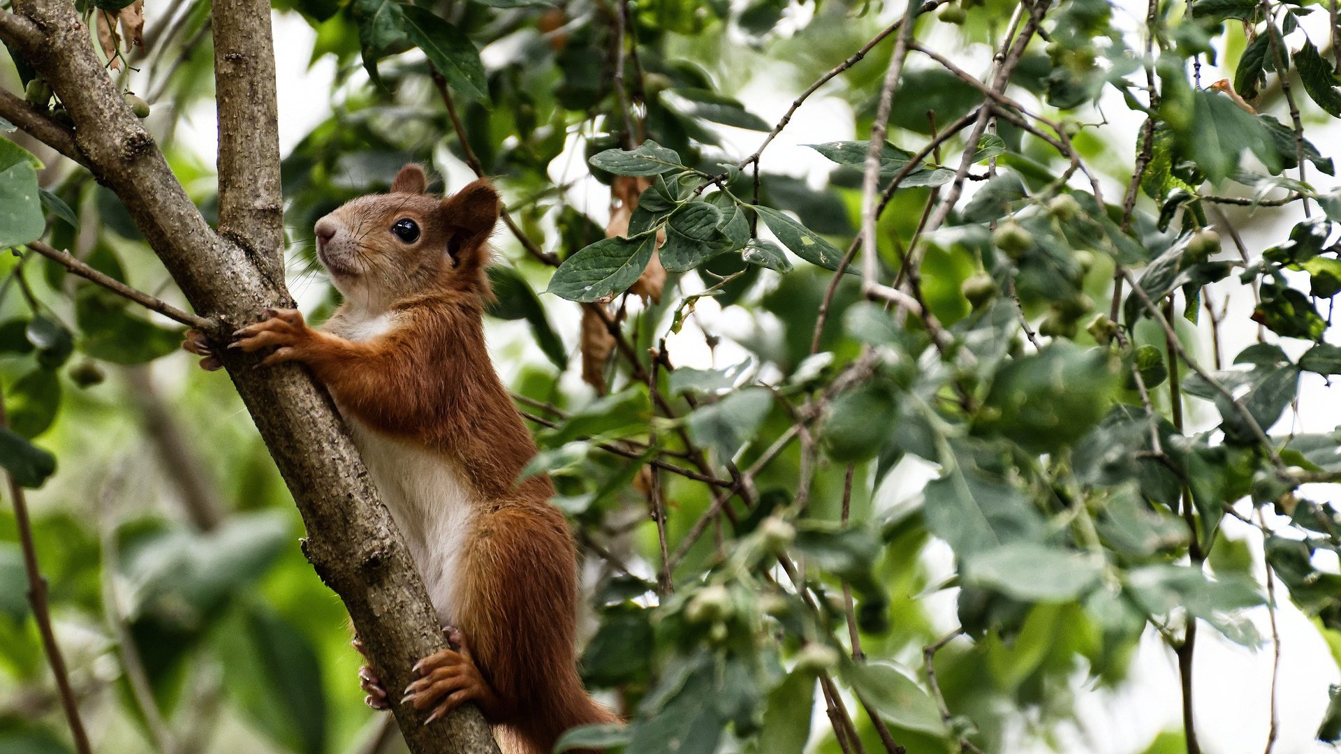 教练团队国际交流日益频繁,教练员沟通的理论和原则