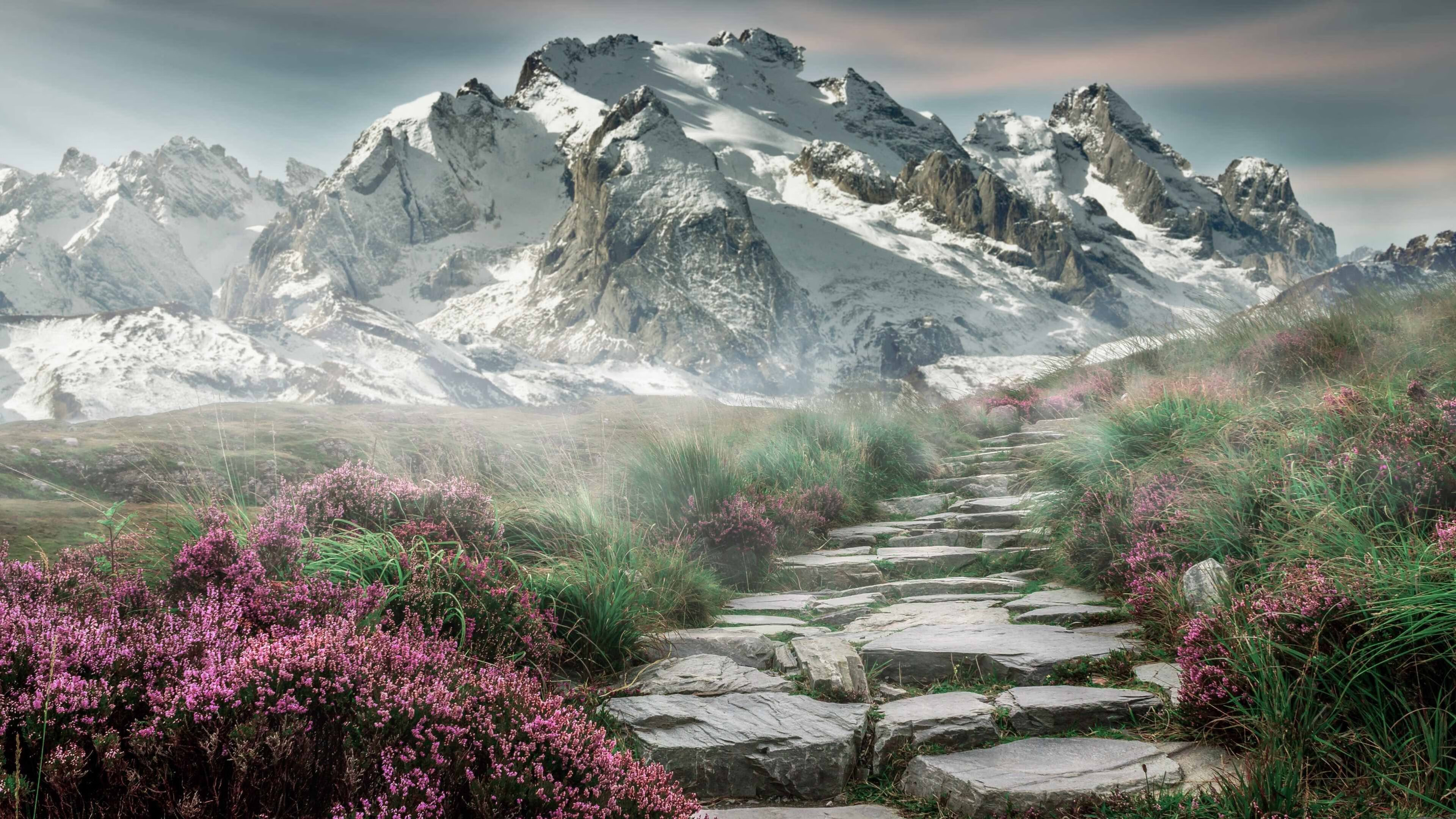 篮球比赛引入现场战术字幕便于观众理解,篮球比赛入场礼仪