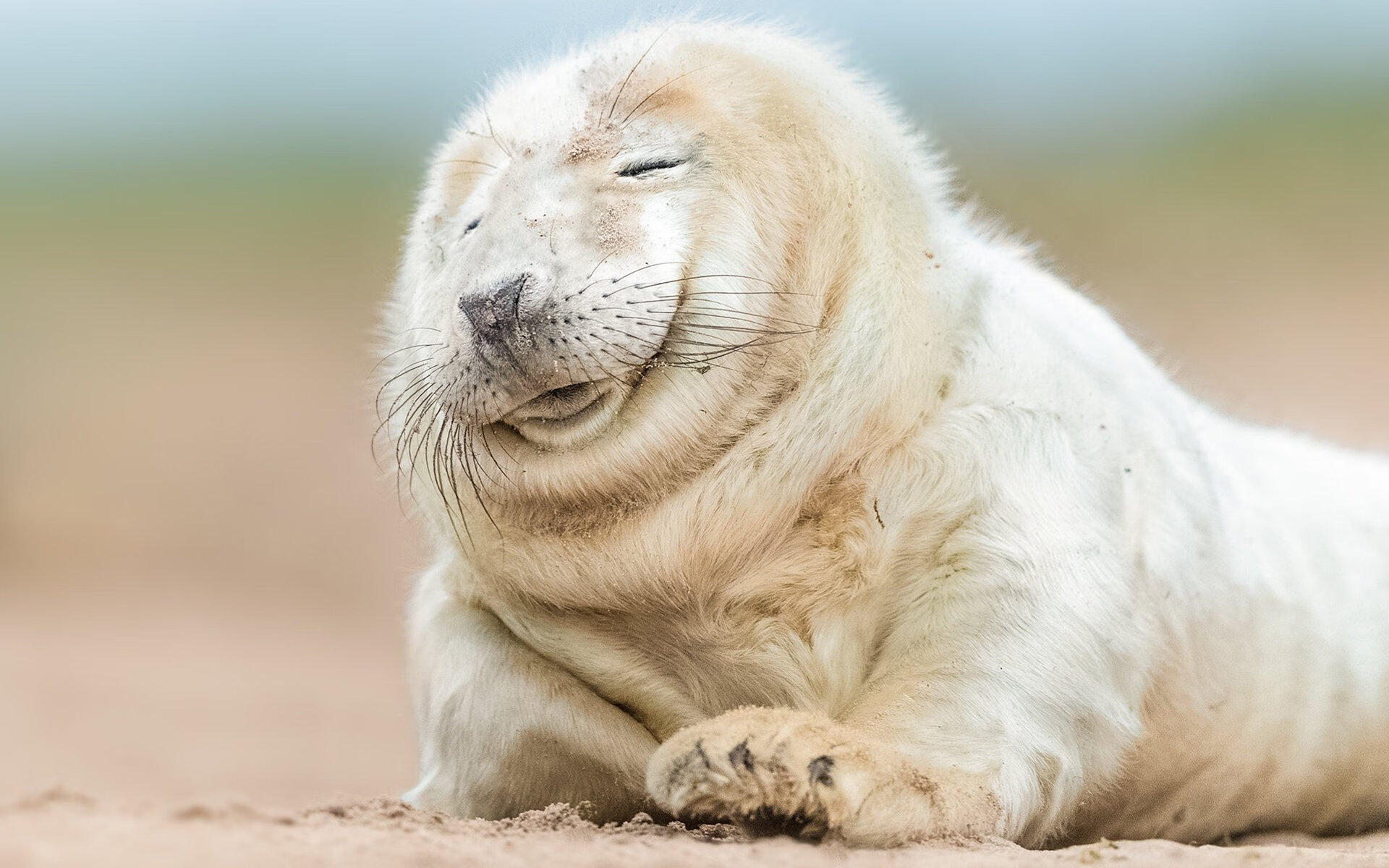 乐鱼体育平台app下载-职业球员缺乏自我评估模型支撑成长，球员自我评价