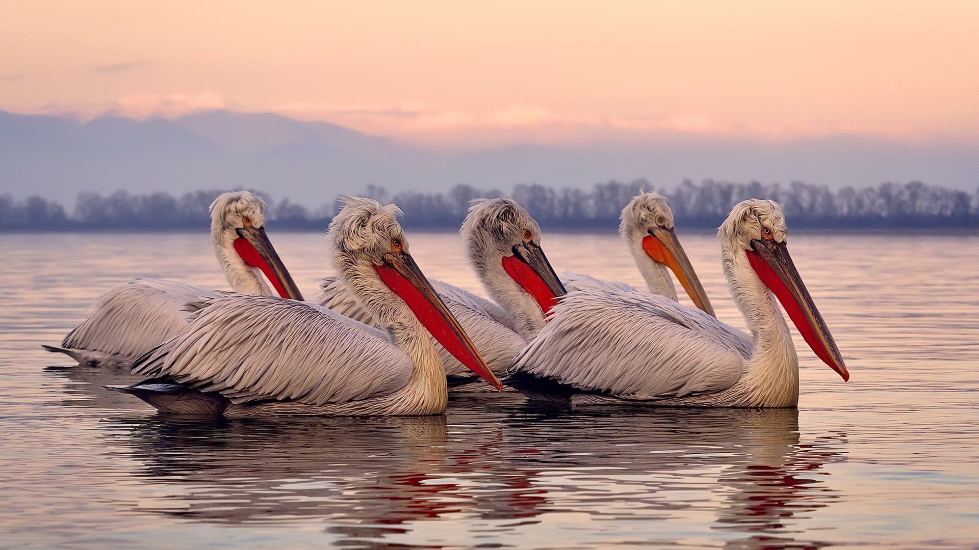 职业球员缺乏自我评估模型支撑成长,球员自我评价