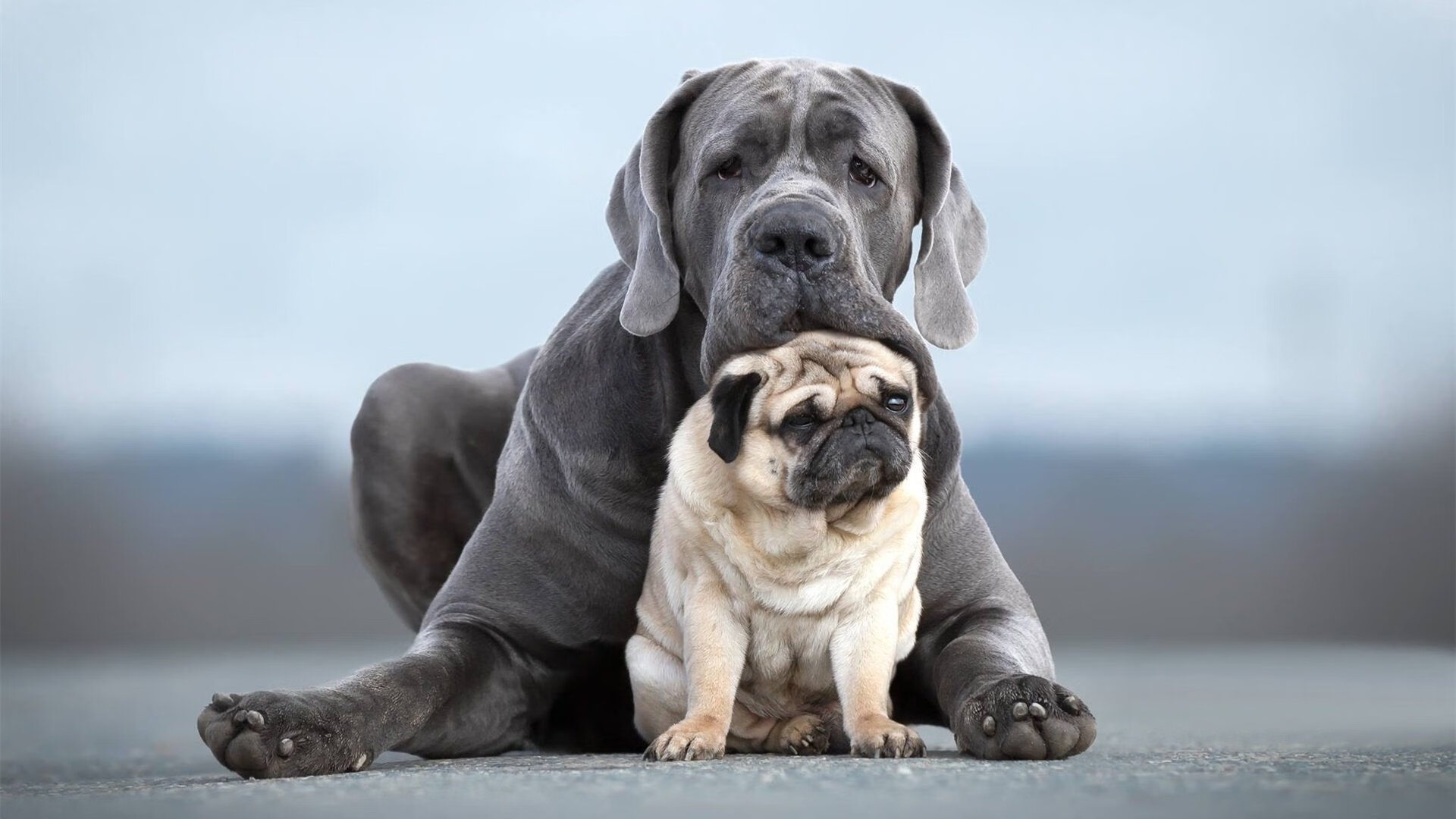 “尼古拉斯·桑特基:阿根廷美洲狮队的传球专家,未来仍需继续提升”