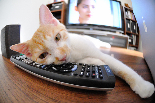 “尼古拉斯·桑特基:阿根廷美洲狮队的传球专家,未来仍需继续提升”