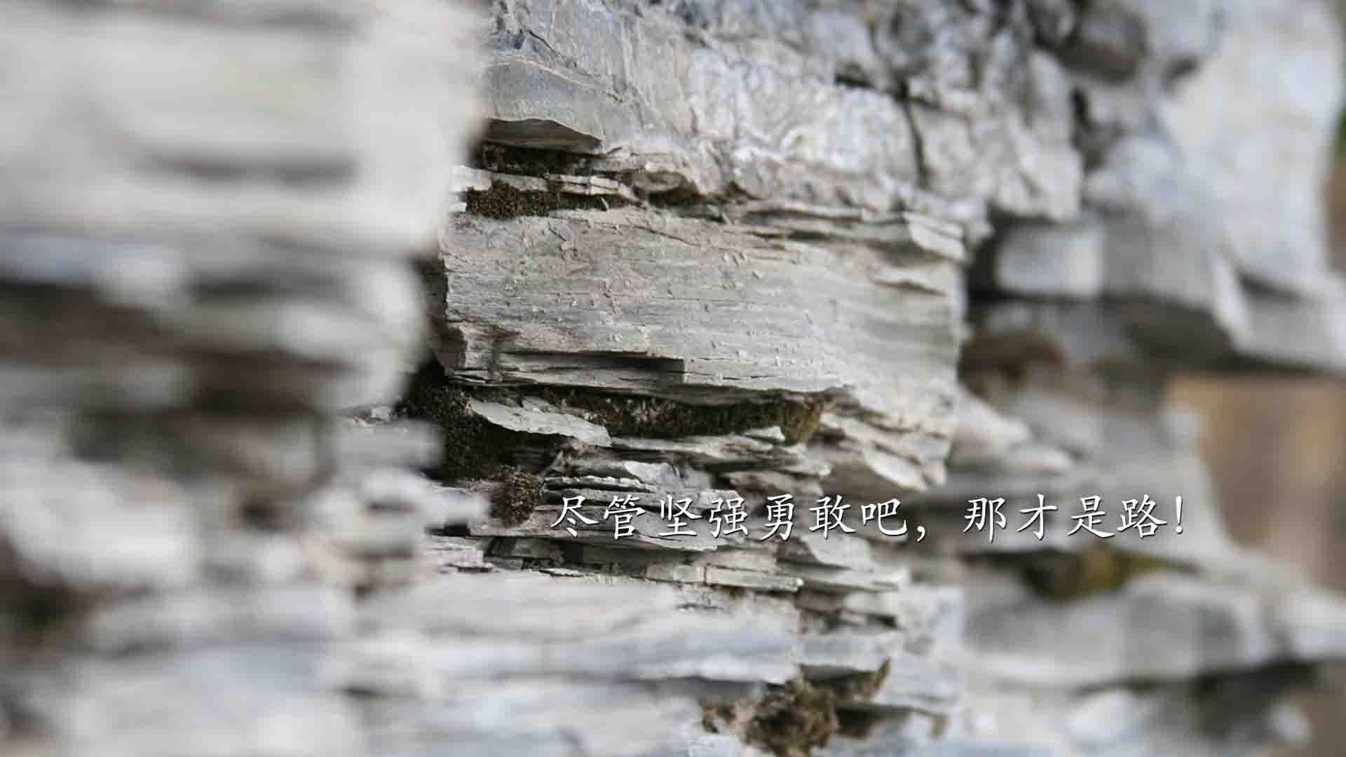 中国足球国家队推进数据分析与教练配合机制,国家足球队教练有哪些