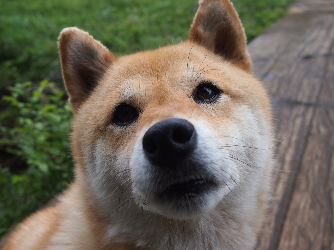 乐鱼体育(中国)官方网站-中国足球联赛推动建立常规化青训督导机制，中国足球青训体系现状