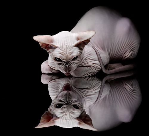 各地足球科普教育走入校园,培养青少年体育意识,全国青少年校园足球教学指南(试行)