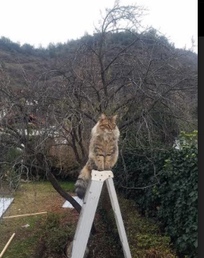 德甲高速反击:瞬间突破,攻势如潮!,德甲德甲